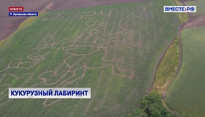 РЕПОРТАЖ: Кукурузный квест