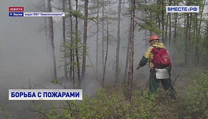 Природные пожары на площади более 8 тысяч га потушили за последние сутки в Якутии