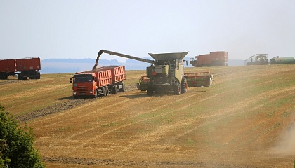 Путин поручил поддержать сельхозпроизводителей, пострадавших от заморозков