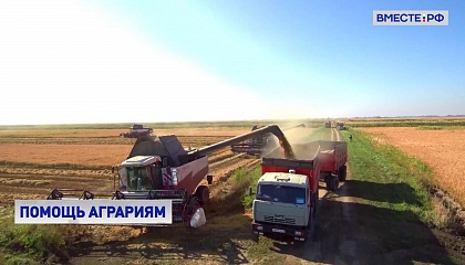 В России отсрочат платежи по льготным кредитам для аграриев