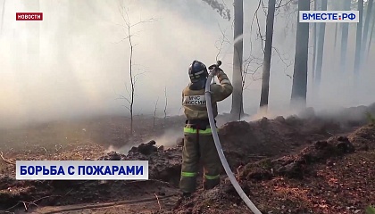 Как эффективно бороться с лесными пожарами обсудили в Совете Федерации