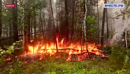 В Туве площадь лесных пожаров достигла почти 7 тысяч гектаров