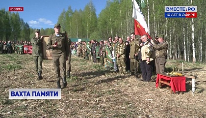 Более 500 поисковиков принимают участие в Вахте памяти на Смоленщине