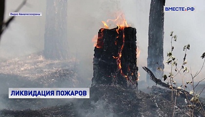 За неделю в 50 регионах России потушили почти 370 лесных пожаров