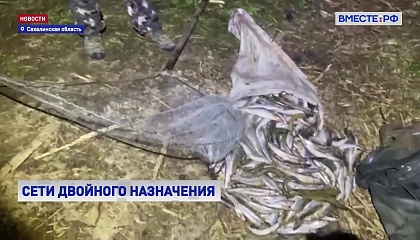 На Сахалине браконьерские сети отправляют в зону СВО