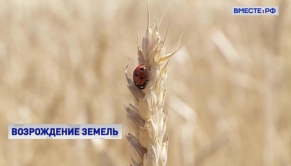 В Сенате решали, как повысить плодородие сельскохозяйственных земель